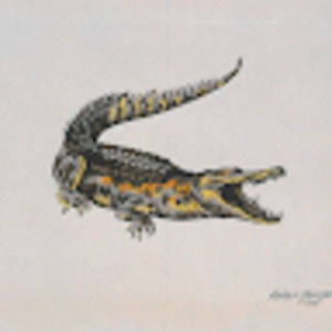 Meet your Posher, Victor